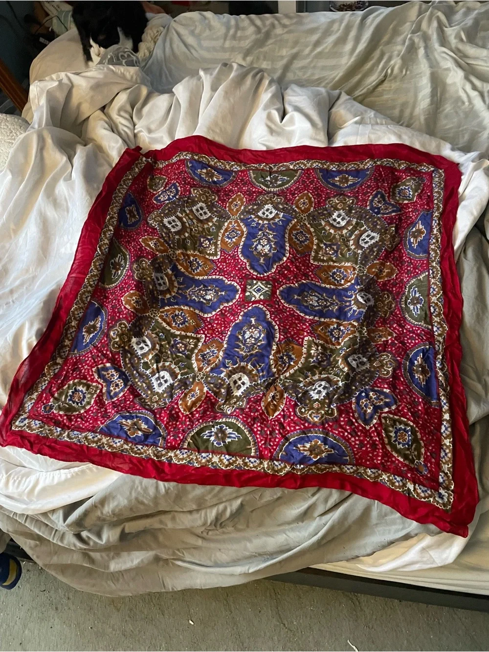 Morgan Taylor Red and blue Paisley Medallion Decorative Accent Scarf